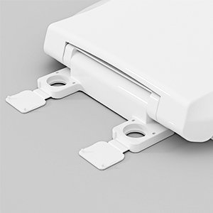 toilet seat