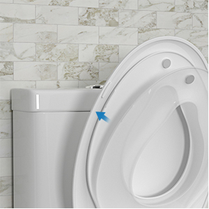 toilet seat