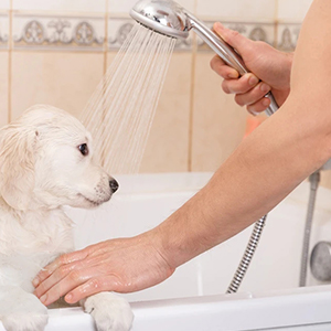 shower hose